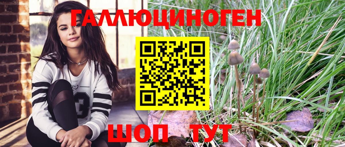 Новокузнецк  Галлюциногенные грибы Psilocybe  Вход с VPN 